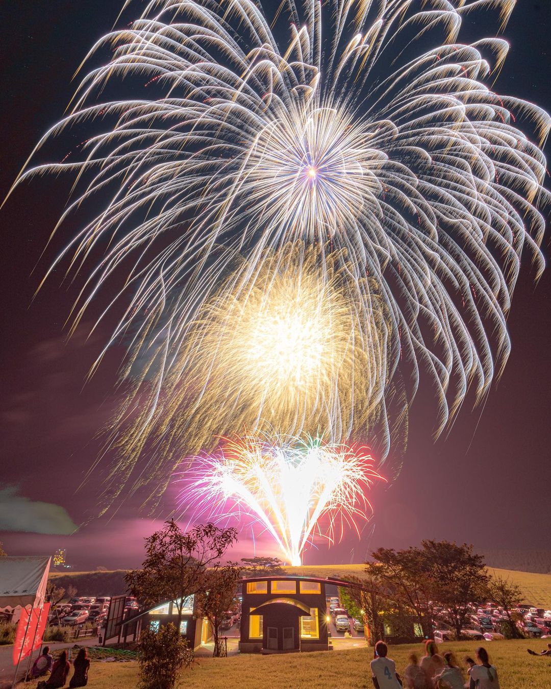 ヒゴタイ祭りの花火打ち上げの様子