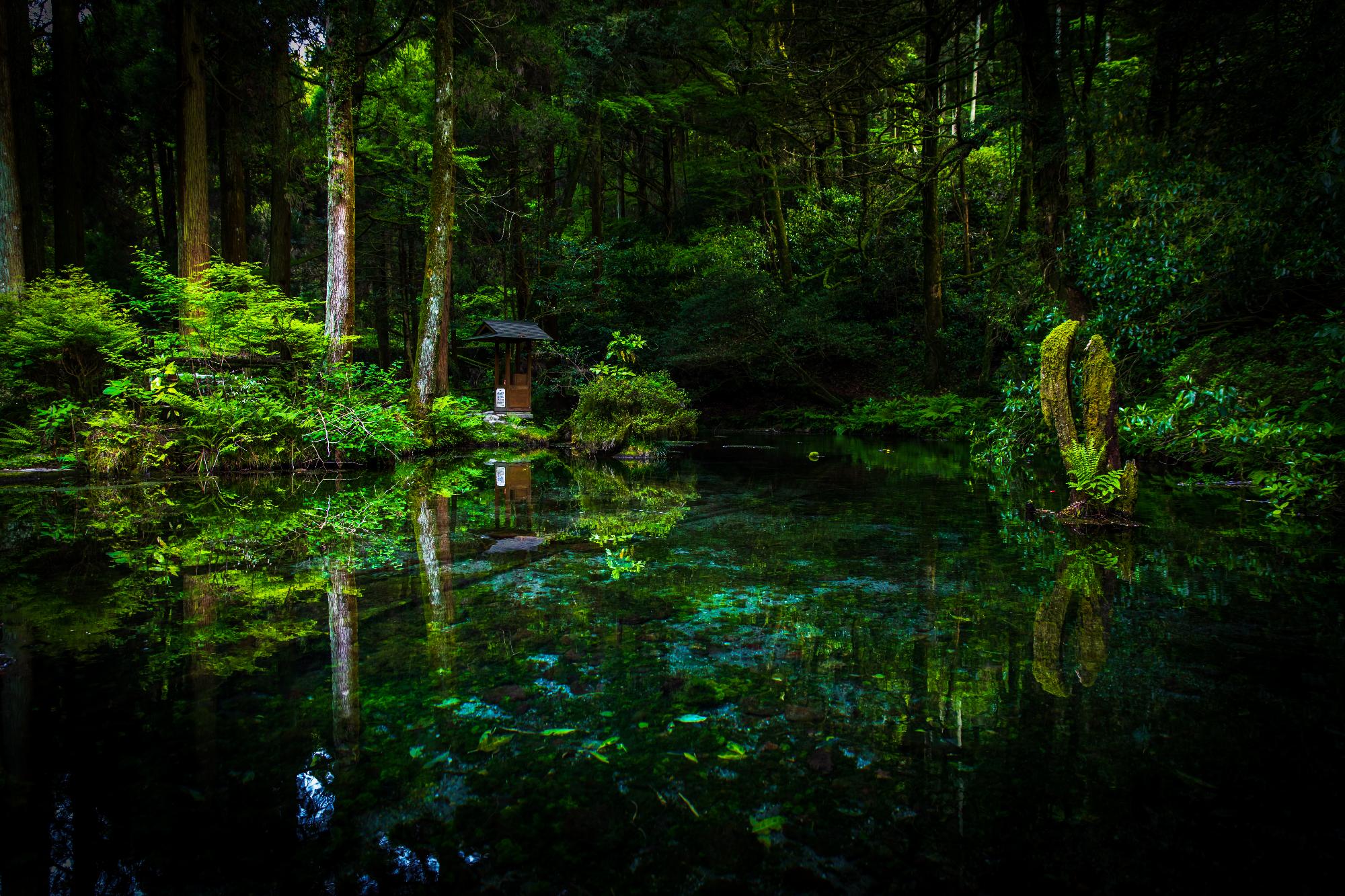 池山水源の写真