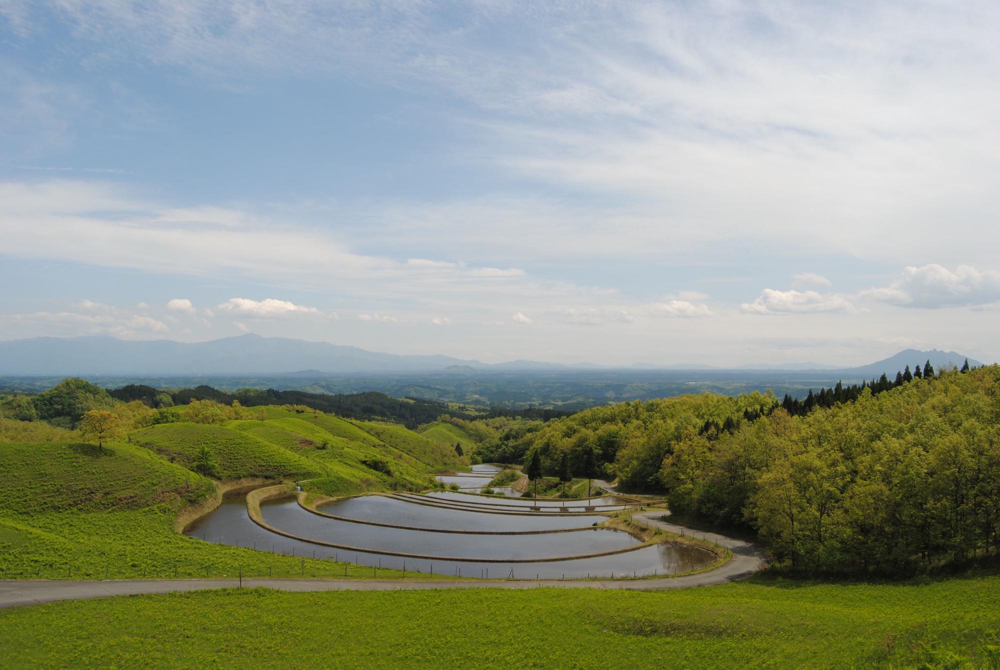 扇棚田の風景