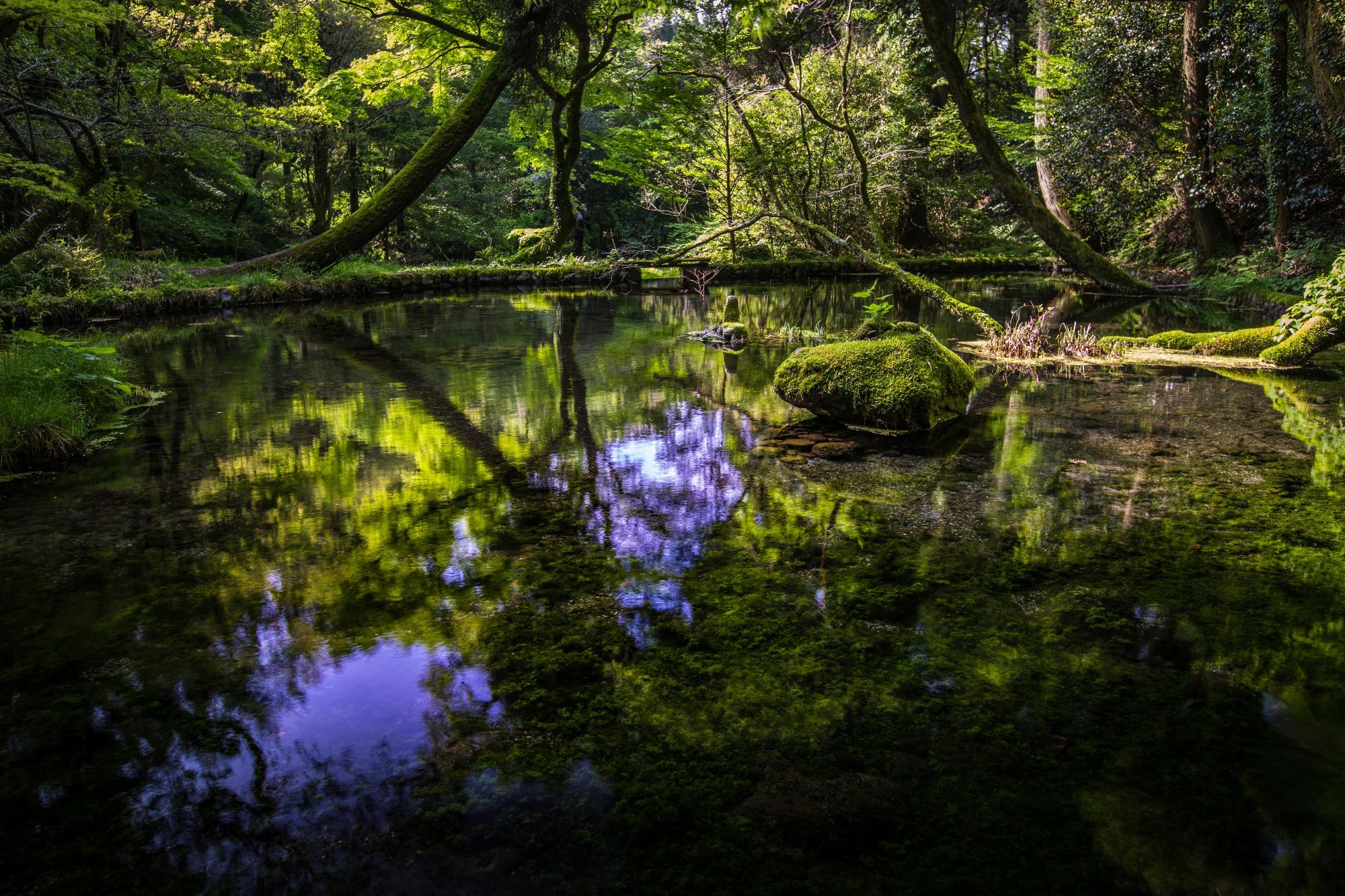 山吹水源の写真