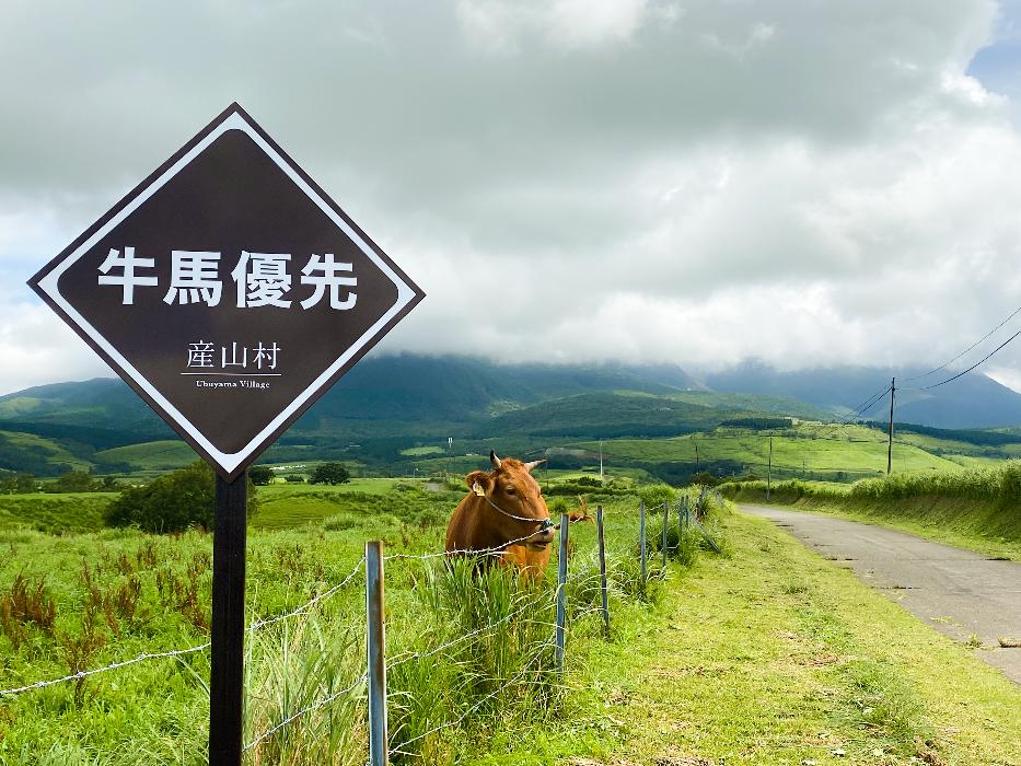 産山村について