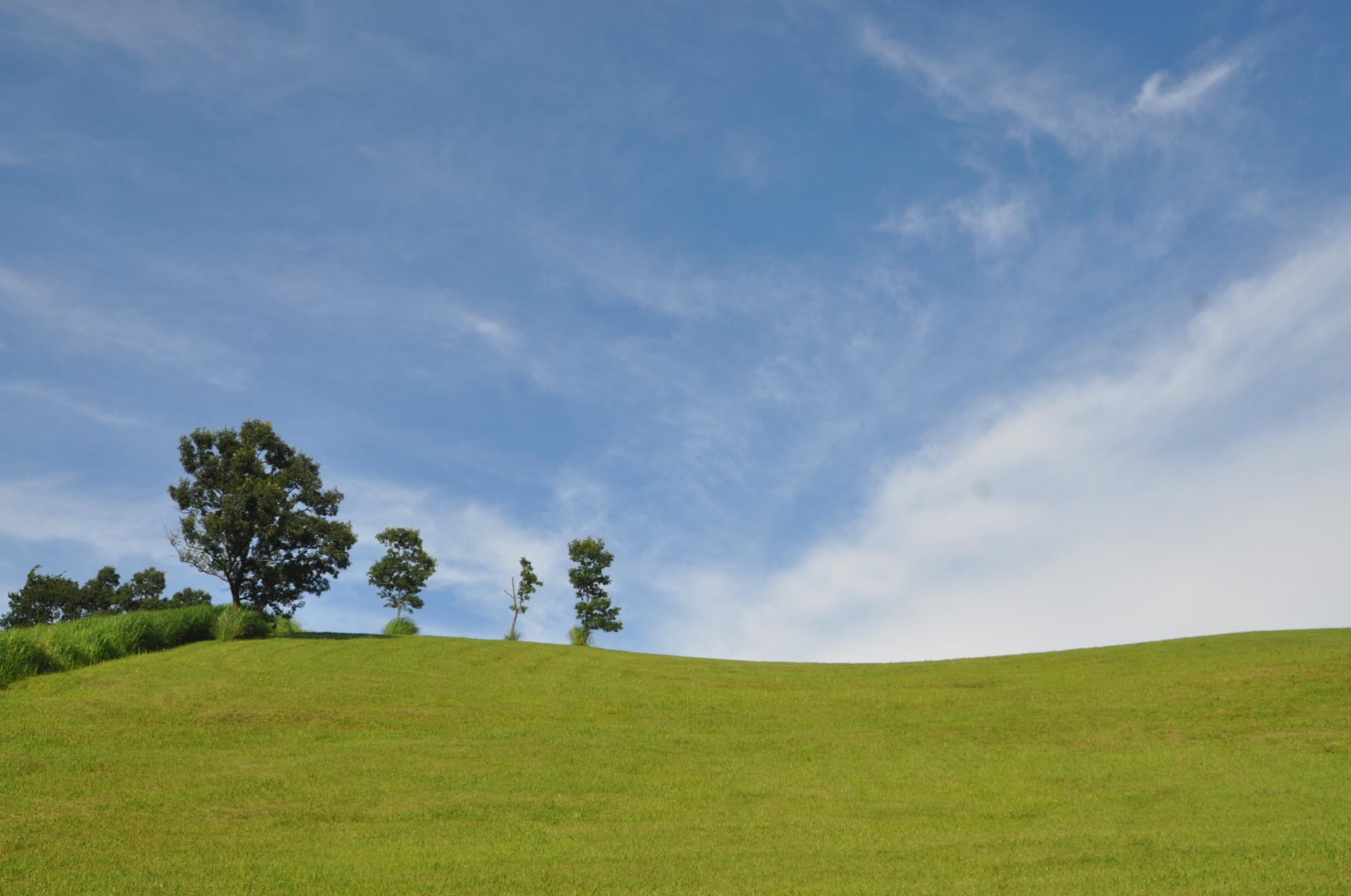 ヒゴタイ公園キャンプ場の風景