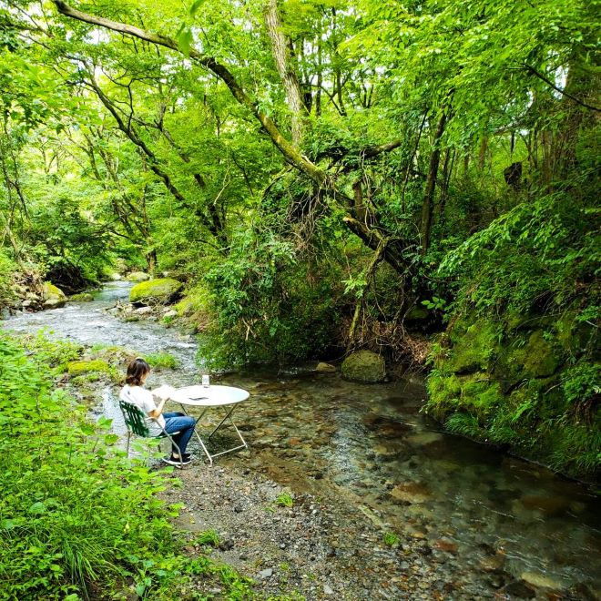 ヒゴタイ公園キャンプ村の小川のそばで本を読む女性