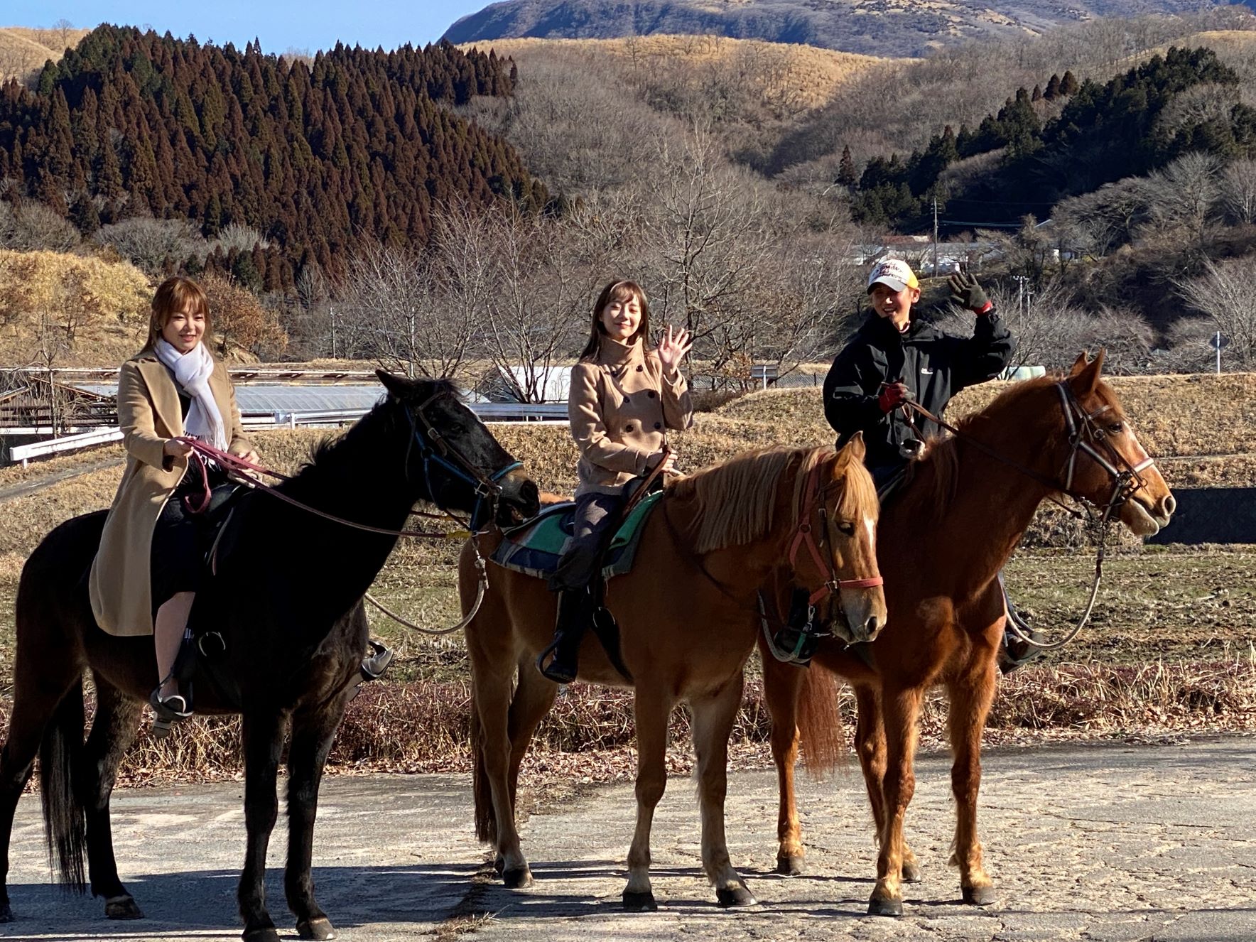 ひなたぼっこの馬に乗る女性ツアー客2名とガイド