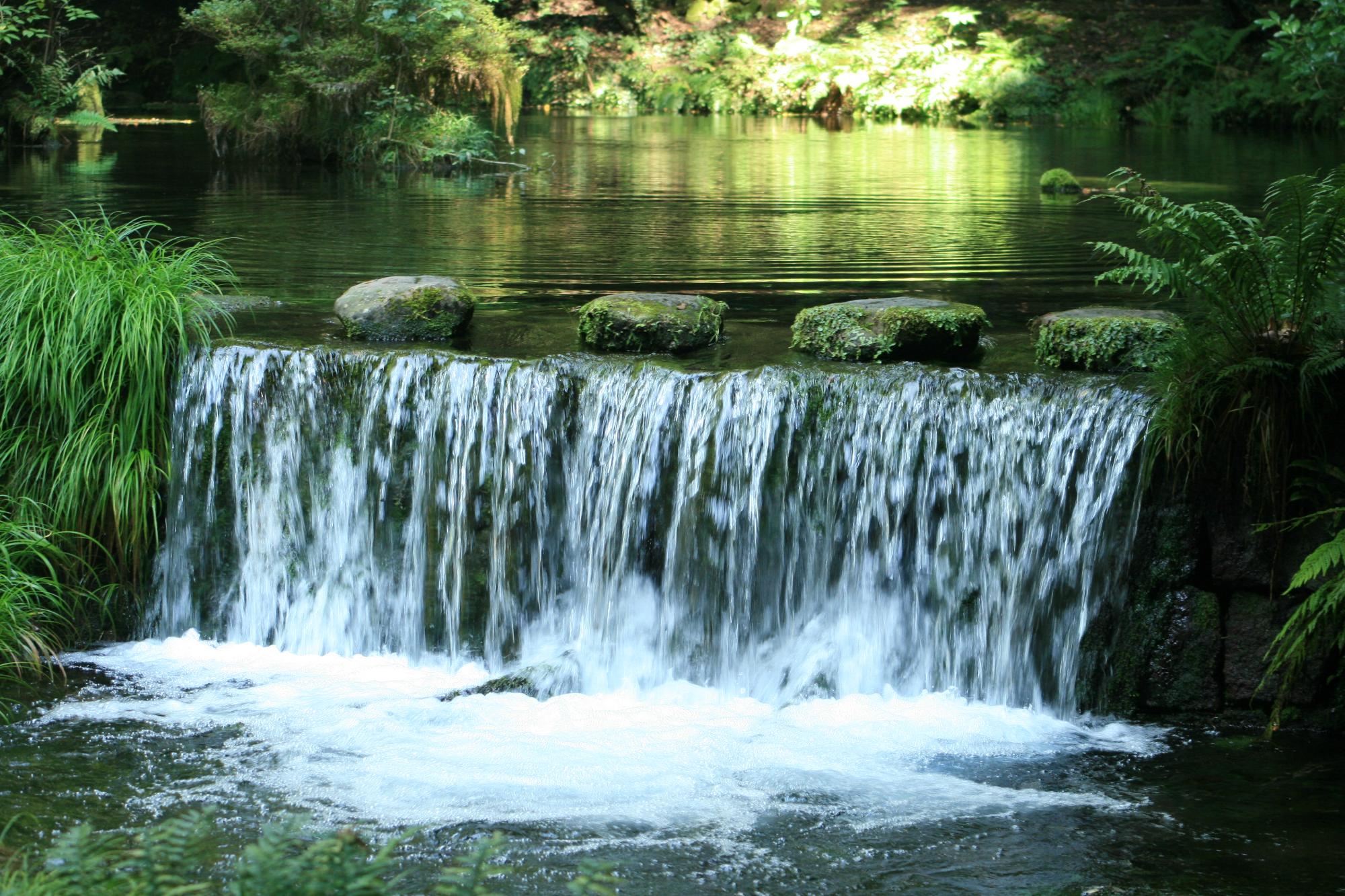 池山水源の湧水が流れるスポット