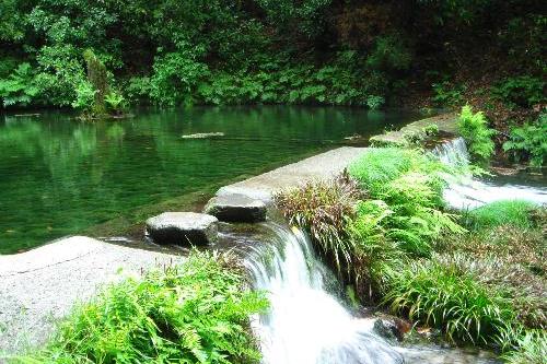 池山水源から水が流れ落ちる写真