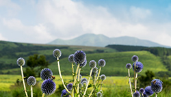 産山村風景