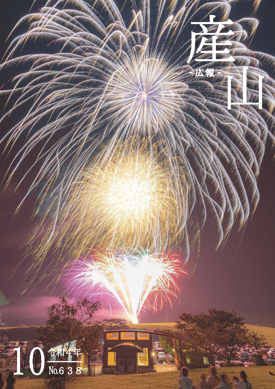 ヒゴタイ祭りの花火