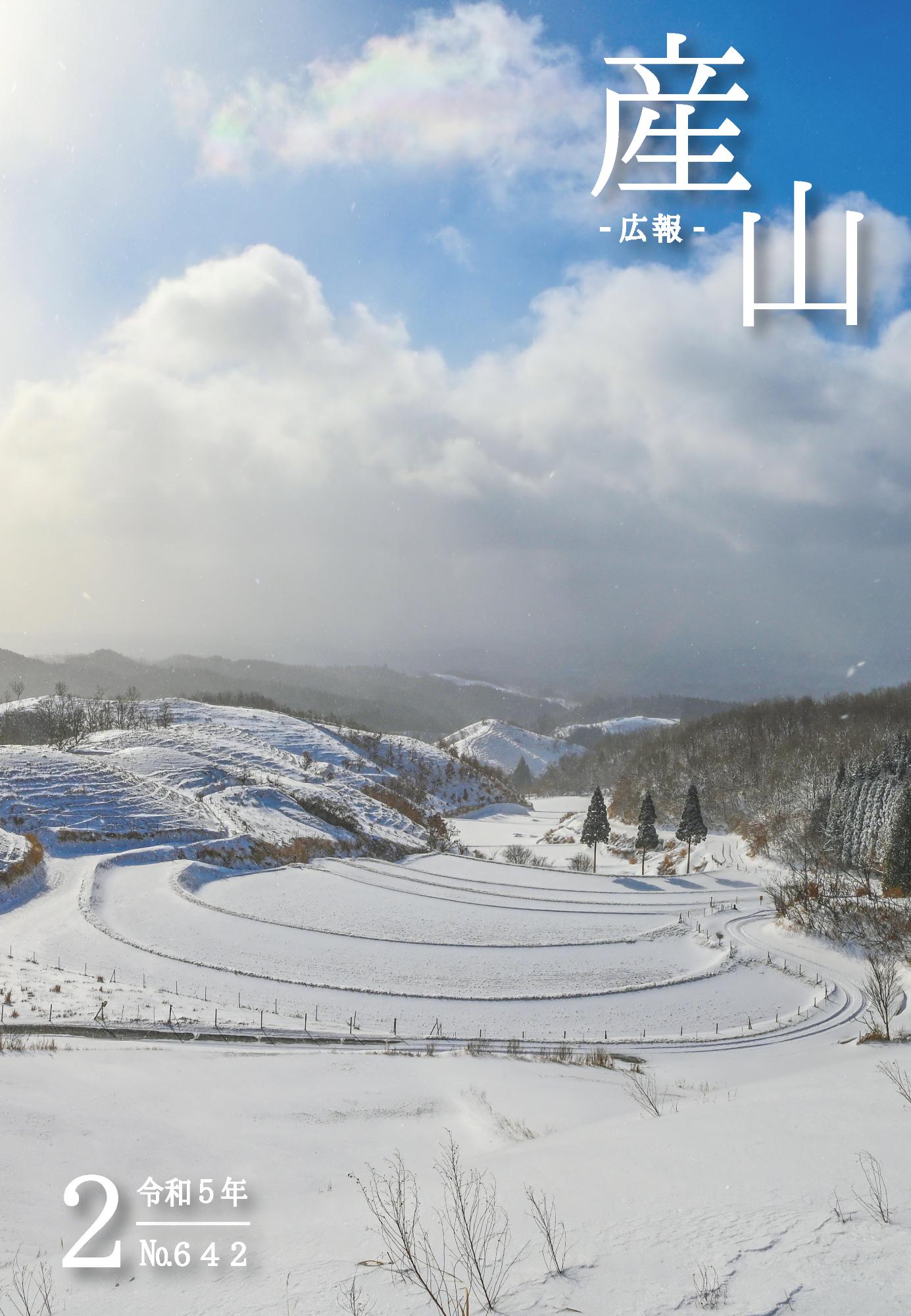 雪化粧をした扇棚田