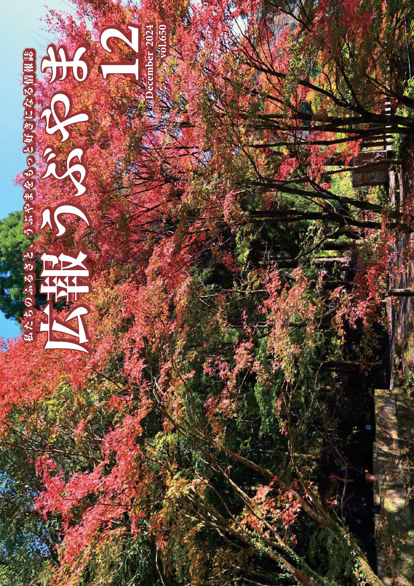 11月号表紙