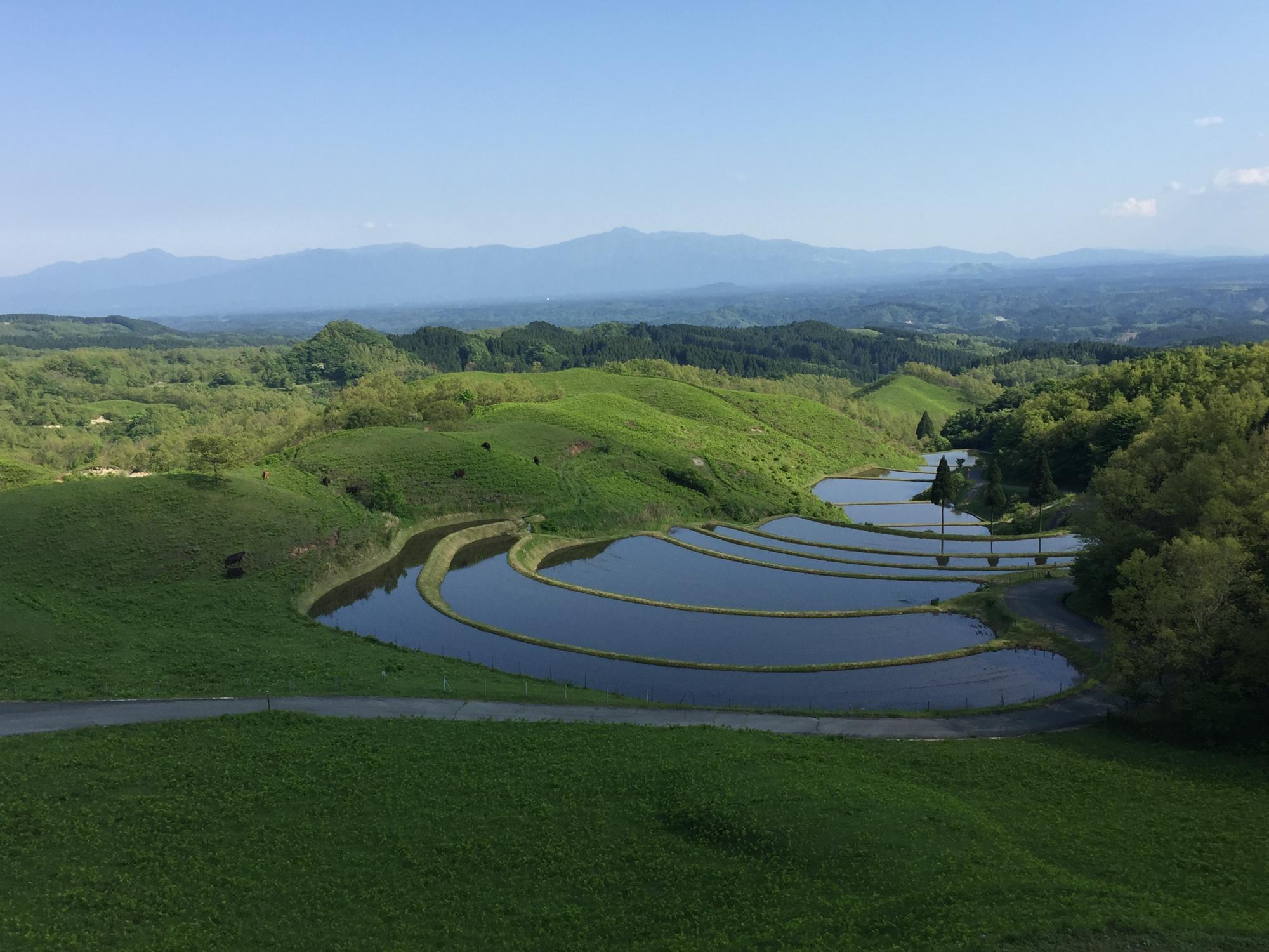 祖母山と扇棚田を望む