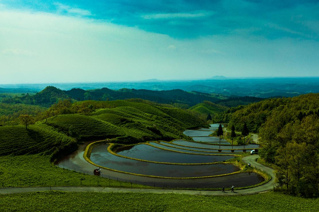 扇棚田写真