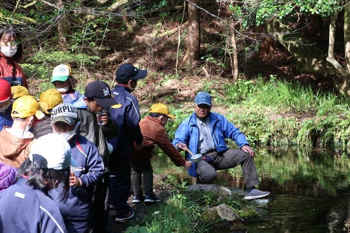 地域学習で水源を探検する子供たち