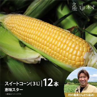 とうもろこし恵味スター1本