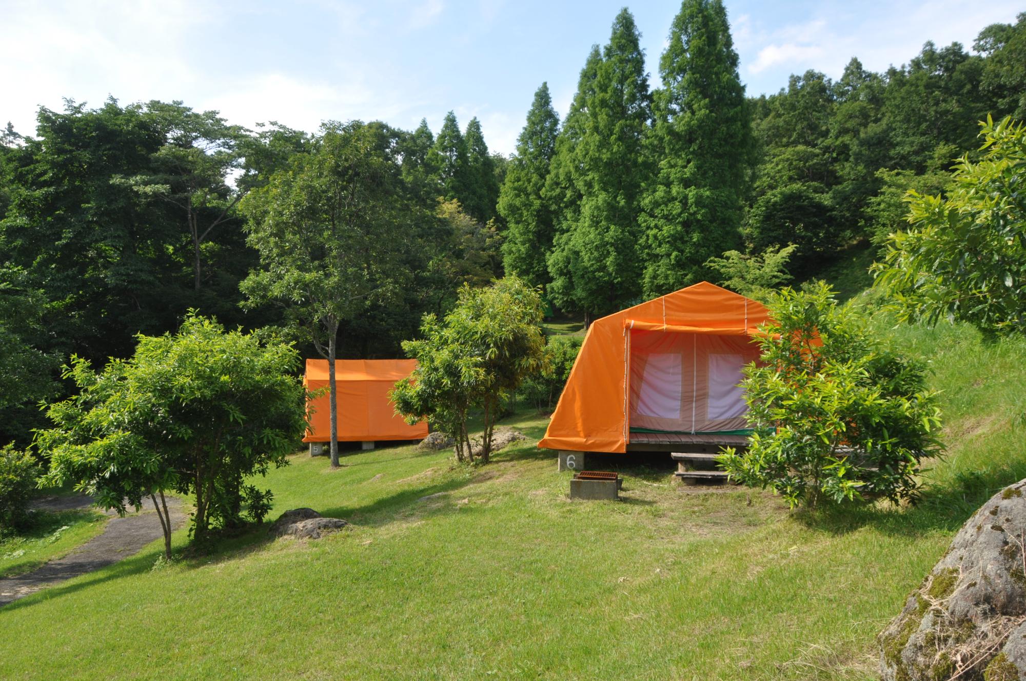 ヒゴタイ公園キャンプ場のテントサイト