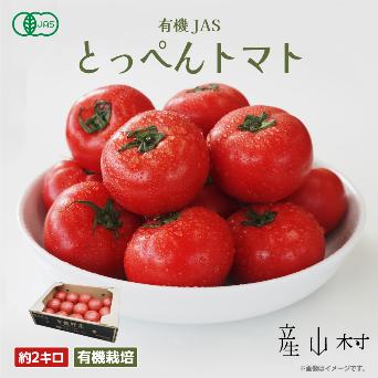 澤村農園のトマトがお皿に乗っている様子