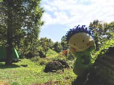 ひごたい公園でのうぶちゃんの写真