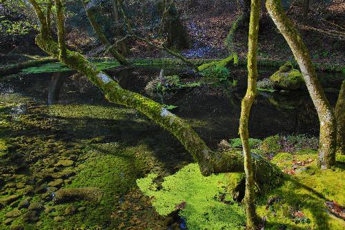 山吹水源の冬の写真