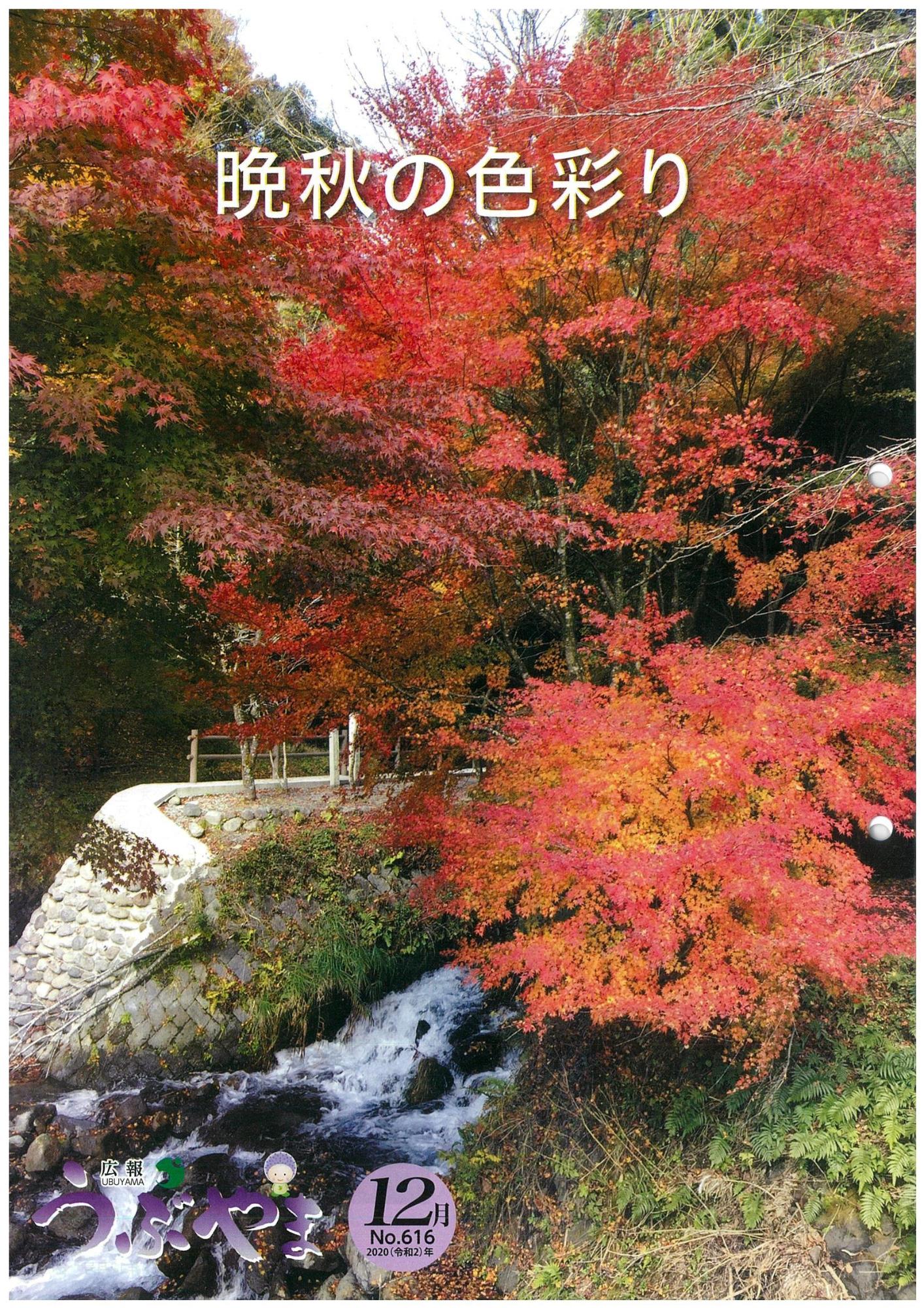 広報うぶやま2020年12月号の表紙の画像